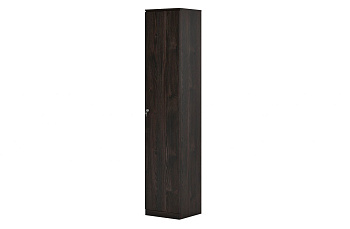 Гардероб узкий FRANKLIN DM (450х420х2200)