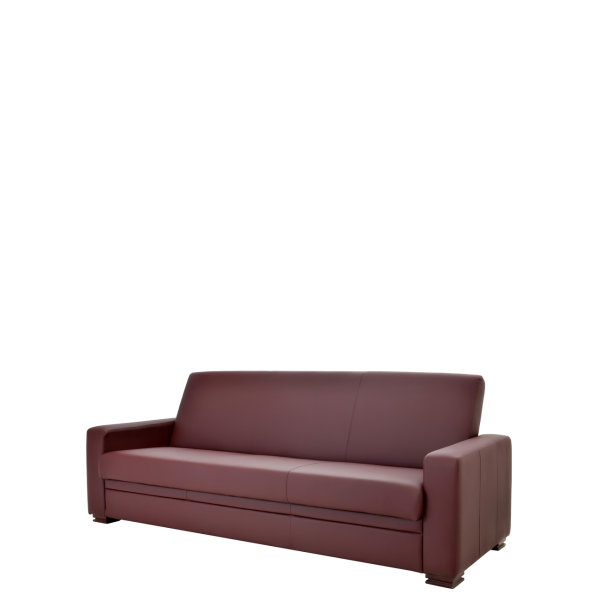 А-02К-2-burgundy-2