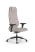 Кресло для руководителя Метта SynchroSit 10 B1-117D - Extra /Um02/Wm12/D02P(M23.B11.G19.W02)