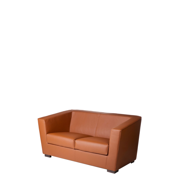 С-19-2-brown-2